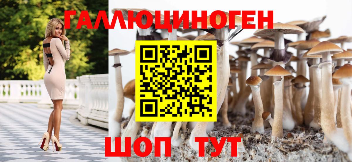 Псилоцибиновые грибы ЛСД  Вход с VPN  Среднеуральск 